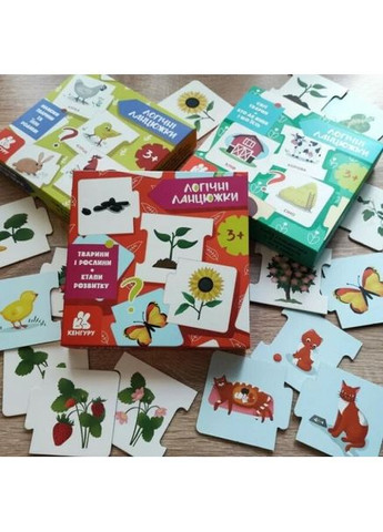 Логические цепочки. Животные и растения. Этапы развития Кенгуру (370056880)