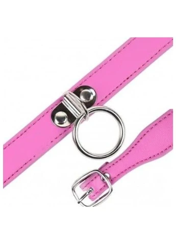 Комір з кільцем, шкіра, Collar (383083825)
