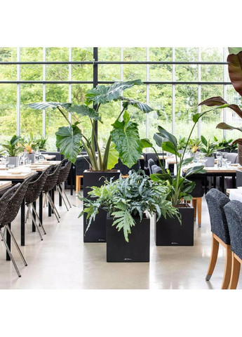 Кашпо Canto Stone Low Сірий камінь (13700) Lechuza (329405621)