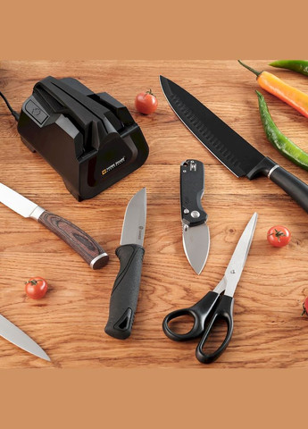 Точильний верстат Work Sharp (353505468)