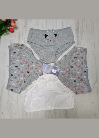 Набор трусиков для девочки Lupilu (296107405)