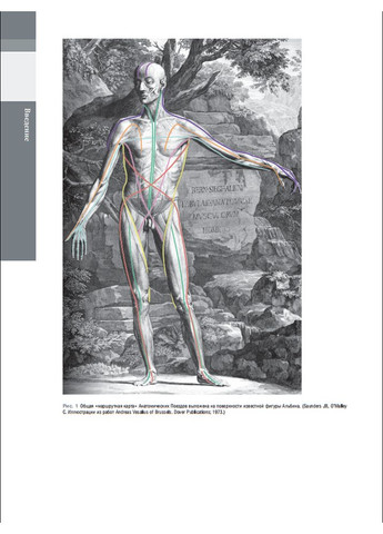 Анатомічні поїзди. 3-е видання No Brand (366971050)