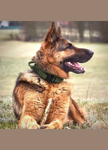 Комплект сверхпрочный тактический поводок + ошейник для собак зеленый размер No Brand (302372368)