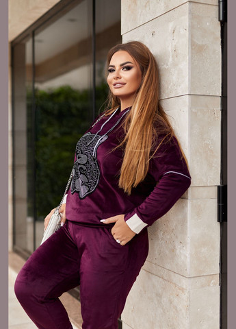 Велюровий спортивний костюм No Brand (300352356)