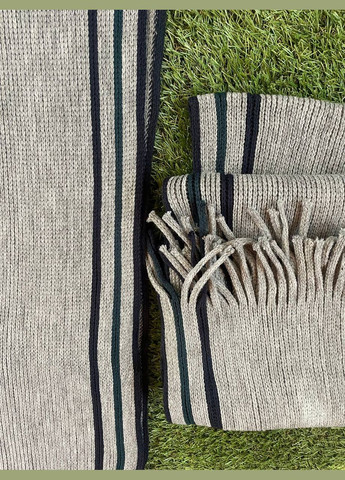 Мужской шарф с боковыми полосками по всему шарфу C&A (303933050)