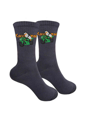 Комбинированные мужские носки 1and1 (348467297)