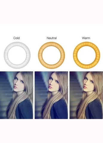 Универсальное селфи кольцо 54 см LED с сумкой для хранения и пультом управления. No Brand RL-21 (303928693)