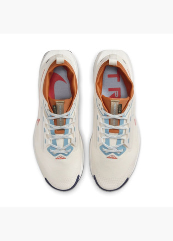 Бежеві кросівки чоловічі pegasus trail 5 gore-tex beige fq0908-003 Nike