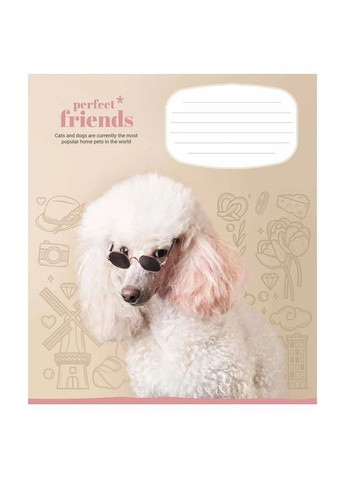 Зошит учнівський Perfect friends 012-3250C 12 арк. (482000647045603250)(SC) shop (482000647045603250) Школярик (337404353)