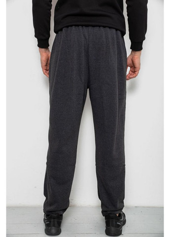 Спортивні штани чоловічі на флісі, 244R41715 Ager (365728379)