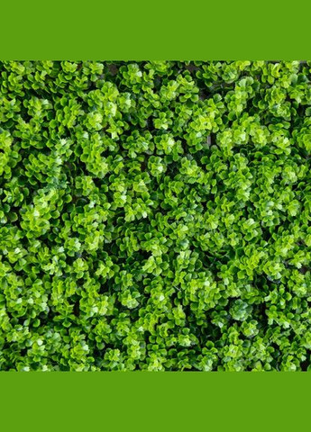 Декоративная панель из искусственной зелени Травка 40*60 см 9224-008 ELISEY (332182776)