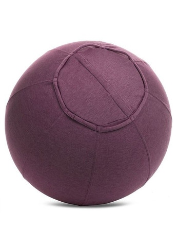 Фитбол мяч для фитнеса с чехлом Фиолетовый (диаметр) FI-1466-01 No Brand (369364476)