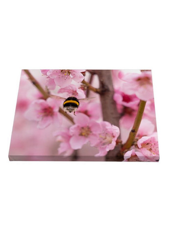 Набір постерів Тендітні квіти (PS-179) 3 шт в наборі Riviera Blanca (303135423)