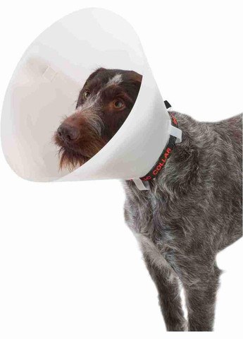 Ветеринарный воротник для кошек и собак (А=20 см, В=20-22 см, С=12-14 см) конус C5020494 Croci (304424180)
