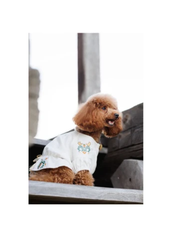 Вышиванка для собак Maryana белая размер Pet Fashion (395729892)