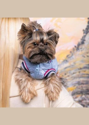 Бомбер «Spike» для собак, размер, голубой (*) Pet Fashion (323153586)