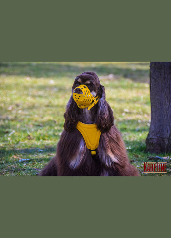 Намордник з натуральної шкіри для малих та середніх порід розмір M: A-65 мм, В-190 мм Kareline (339074896)