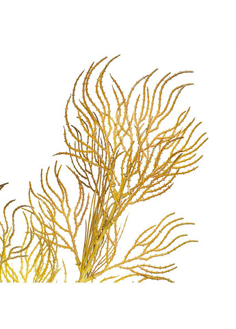 Гілка верби хвиляста, золота ELISEY (322248789)