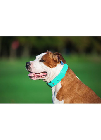 Нашийник для собак шкіряний Glamour з QR паспортом, без прикрас,, Ш 25 мм, Дов 38-49 см ментоловий WAUDOG (322001994)