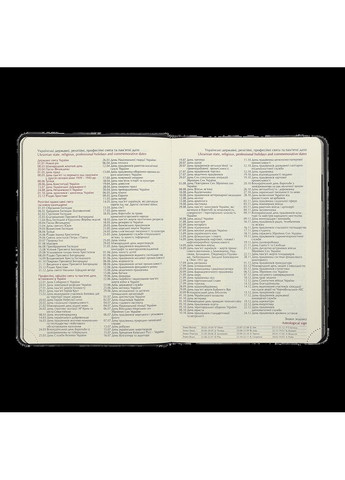 Щоденник датований 2025 SL BM.2127-24, A5, срібло, штучна шкіра Buromax (360714924)