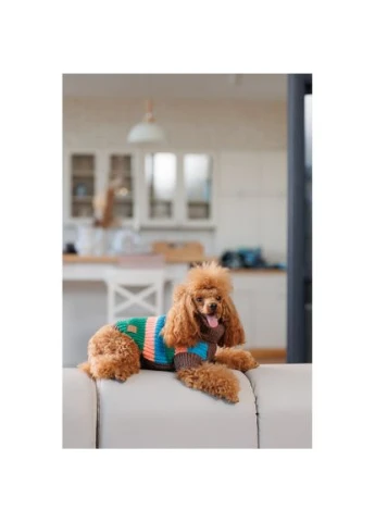 Свитер Happy для собак, размер XS2 Pet Fashion (333331280)