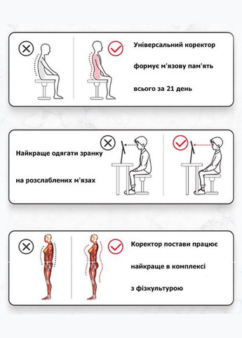 Якісний коректор постави для спини регульований бежевий розміру L No Brand (324834243)