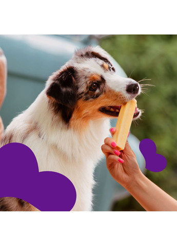 Ласощі для собак Сирні палички 95 г Mavsy (353515446)