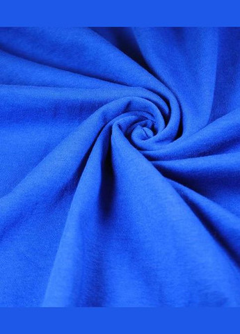 Футболка з довгим рукавом чоловіча Valueweight long sleeve Яскраво (061038051L) Fruit of the Loom синій спортивні, повсякденні, кежуали бавовна