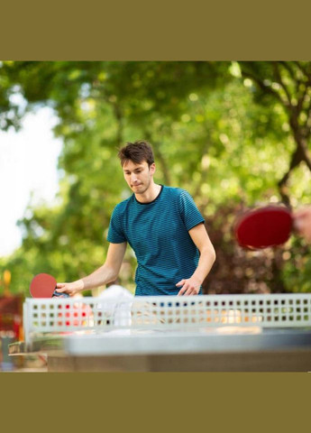 Набір для настільного тенісу VITOR NE-VT-6, 2 ракетки, 3 кульки, сітка No Brand (330603464)