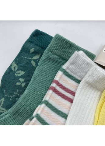 Комбіновані набір дитячих шкарпеток Lupilu (366431292)