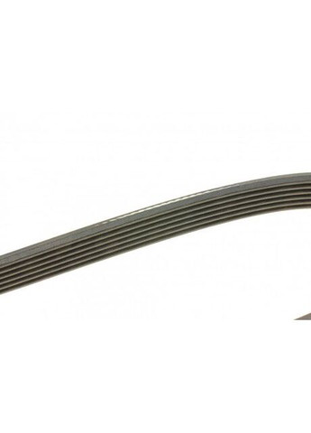 Ремінь генератора Dayco (360495226)