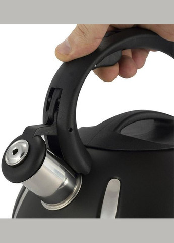 Чайник Happy Kettle 2л з нержавіючої сталі зі свистком, чорний матовий Ofenbach (329896225)