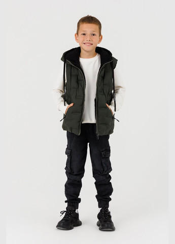 Жилет для хлопчика M14 86 см (2000990370365D) shop (2000990370365) Dinomin (357436372)