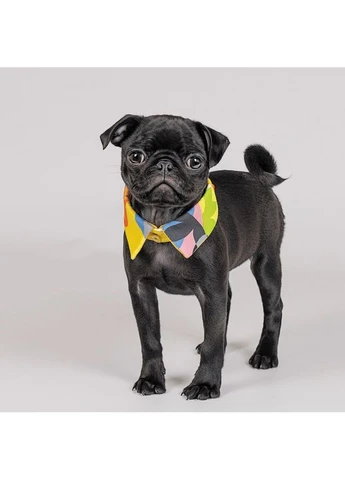 Воротник для собак мелких пород Bright, жёлтый XS-XS2 Pet Fashion (402778832)