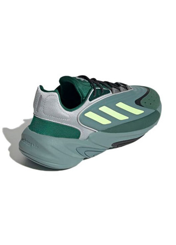 Зелені всесезон чоловічі кросівки adidas