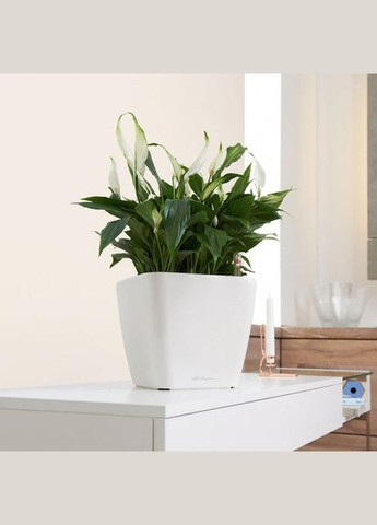 Розумний вазон Quadro Premium LS 28 8,5 л коричневий 16145 Lechuza (316618092)