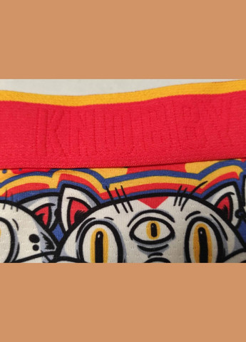 Труси-сліпи жіночі з котами оранжеві /US14 Knobby (323468969)