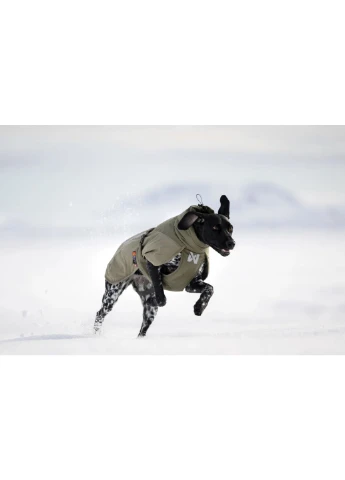 Зимові куртки для собак Glacier wool jacket 3.0 Зелений 33 Non-stop dogwear (388108403)