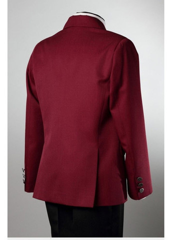 Пиджак Велма 017 (352770009)