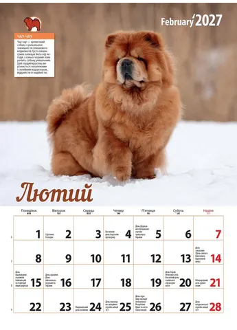 Календар 2027 Породи собак (Breeds of Dogs) із серії Світовид Видавництво «Діана плюс» (411054089)