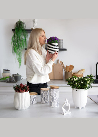 Ємність для зберігання MY HOME 1100 мл Біла (KP-15 L WHITE/WOOD) MVM (301002381)