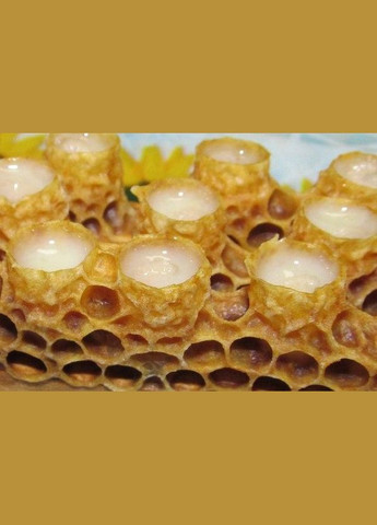 Мед з маточним молочком 1 % МЕД ПОШТОЮ (322148707)