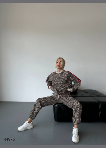 Жіночий костюм з леопардовим принтом Liton (303121724)