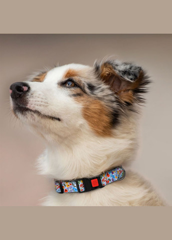 Нашийник для собак розмір ширина 16 мм 25-33 см Flowers blue (2100102281012) Hi Dog (279569279)