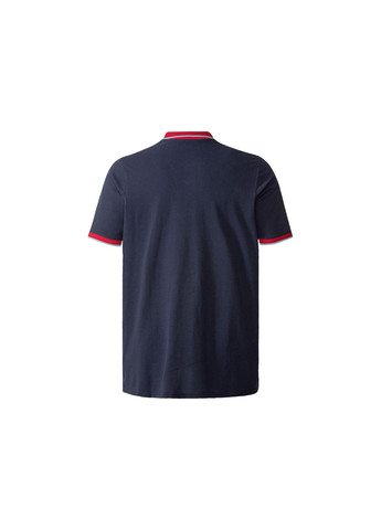 Комбінована футболка поло батал для чоловіків Livergy