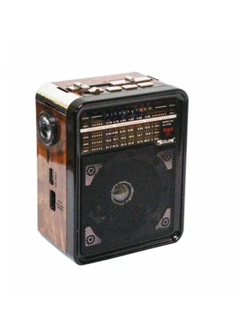 Радіоприймання колонки RX-9100 з ліхтарем Коричневий Golon (332634112)