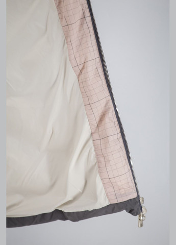 Сірий зимній Пуховик No Brand