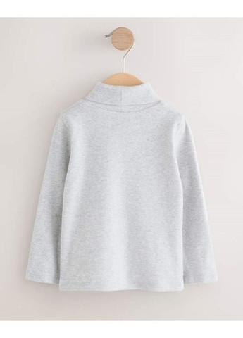 Разноцветный демисезонный лонгслив Next Trend