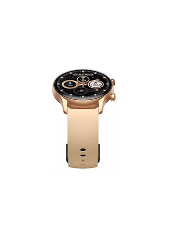 Смарт-годинник Btalk 3 Champagne Gold Zeblaze (305059905)