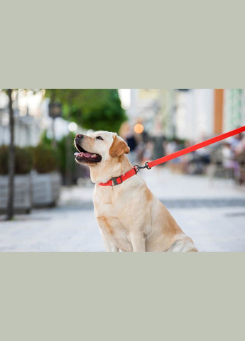 Повідець для собак водостійкий Waterproof Ш 15 мм Д 183 см червоний WAUDOG (279569823)